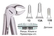 Щипцы для удаления резцов, клыков и премоляров нижней челюсти №13, Surgicon