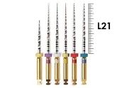 ProTaper Universal Starter Kit 21мм SX-F3 (6 шт), Dentsply Sirona - машинные файлы