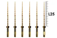ProTaper Gold 25мм F4 (6 шт), Dentsply Sirona - машинные файлы, стерильные, черные