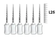 ProTaper Universal Hand use 25мм S2 (6 шт), Dentsply Sirona - ручные файлы, с прогрессирующей конусностью, белые
