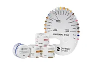 Универсальный краситель для керамичесских масс Body, оттенок S2, 5г.