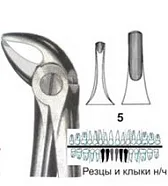 Щипцы №5, Surgicon - для удаления резцов и клыков нижней челюсти