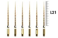 ProTaper Gold 21мм S2 (6 шт), Dentsply Sirona - машинные файлы, стерильные, белые