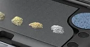 Evolution Palette Absorption Strips