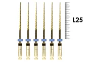 2Shape 25мм .04 F40 №40 (5 шт), MICRO-MEGA - машинные файлы, инструменты эндодонтические ротационные