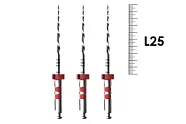 E-Flex REC 25мм, .06, N25 (3 шт), Eighteeth - машинные файлы
