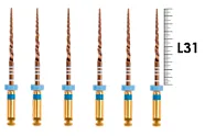ProTaper Gold Assortment 31мм SX-F3 (6 шт), Dentsply Sirona - машинные файлы, стерильные, голубые