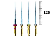 E-Flex Gold Path 25мм, Ассорти N13.02/16.02/19.02/15.03 (4 шт), Eighteeth - машинные файлы, 155, РУ