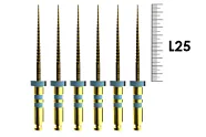 E-Flex Gold 25мм, .06, N30 (6 шт), Eighteeth - машинные файлы