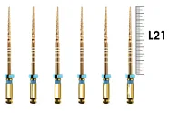 ProTaper Gold Assortment 21мм SX-F3 (6 шт), Dentsply Sirona - машинные файлы, стерильные, голубые