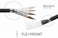Flexmount
