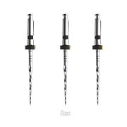 E-Flex REC