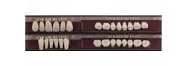 Spofadent Plus (А2) 52-0/5-1/60