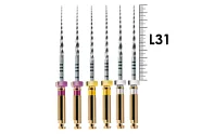 ProTaper Universal 31мм 2xS1-2xS2-2xF1 (6 шт), Dentsply Sirona - машинные файлы