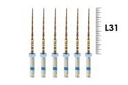 S-Flexi 31мм 04/30 (6 шт), Геософт - машинные файлы