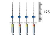 iRaCe Plus 25мм №20-25 (4 шт), FKG - машинные файлы, ассорти R1a-R1b, стерильный блистер