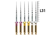 ProTaper Universal 31мм 2xS1-2xS2-2xF1 (6 шт), Dentsply Sirona - машинные файлы