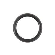 Уплотнительные кольца 0.200.6019 для канюли KaVo PROPHYflex 3 (5 шт.)