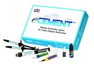 eCEMENT Bisco