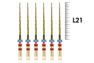 2Shape 21мм .06 TS2 №25 (5 шт), MICRO-MEGA - машинные файлы, инструменты эндодонтические ротационные