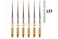 Gold-taper 31мм S2, Геософт - машинные файлы