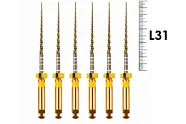 Gold-taper 31мм F1, Геософт - машинные файлы