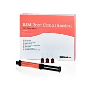 BJM Root Canal Sealer - Антибактериальный двухкомпонентный силер