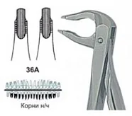  Корни н/ч №36А