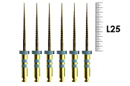 E-Flex Gold 25мм, .06, N30 (6 шт), Eighteeth - машинные файлы, 10 Packs 096