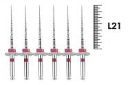 SC Plus 21мм, 02/12 (6 шт), Soco - машинные файлы с памятью формы