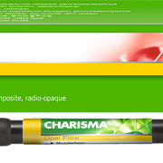 Жидкотекучие композиты Charisma Opal Flow