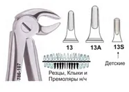 Резцы, Клыки и Премоляры н/ч (Детские)  №13S