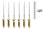 ProFile RA 21мм .04 №15-40 ассорти (6 шт), Dentsply Sirona - машинные файлы, каналорасширители, никель-титан