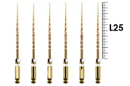 ProTaper Gold 25мм S2 (6 шт), Dentsply Sirona - машинные файлы, стерильные, белые