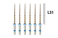 S-Flexi 31мм 04/30 (6 шт), Геософт - машинные файлы