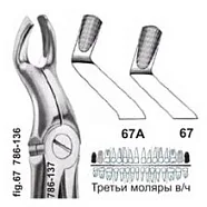 Щипцы №67, Surgicon - для удаления третьих моляров верхней челюсти
