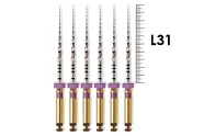 ProTaper Universal 31мм S1 (6 шт), Dentsply Sirona - машинные файлы, фиолетовые