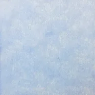 Бумага для лотков 300х400