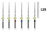 ProFile RA 25мм .04 №45-90 ассорти (6 шт), Dentsply Sirona - машинные файлы, каналорасширители, никель-титан