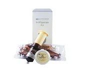 ViscoStat Dento-infusor Mini Kit-набор (гель 30мл+20нас+20шпр.)