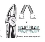Щипцы №7, Surgicon - для удаления резцов и клыков верхней челюсти