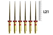 E-Flex Gold 21мм, .04, N25 (6 шт), Eighteeth - машинные файлы, 10 Packs 102