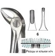 Щипцы №6, Surgicon - для удаления резцов и клыков нижней челюсти