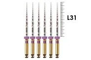 ProTaper Universal 31мм S1 (6 шт), Dentsply Sirona - машинные файлы, фиолетовые