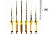 Gold-taper 25мм F1, Геософт - машинные файлы
