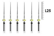 ProFile RA 25мм .04 №40 (6 шт), Dentsply Sirona - машинные файлы, каналорасширители, никель-титан