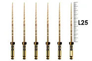 ProTaper Gold 25мм F4 (6 шт), Dentsply Sirona - машинные файлы, стерильные, черные