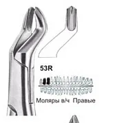 Щипцы №53R, Surgicon - для удаления моляров верхней челюсти правые
