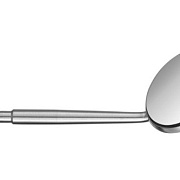 Зеркала Botiss biomaterials GmbH